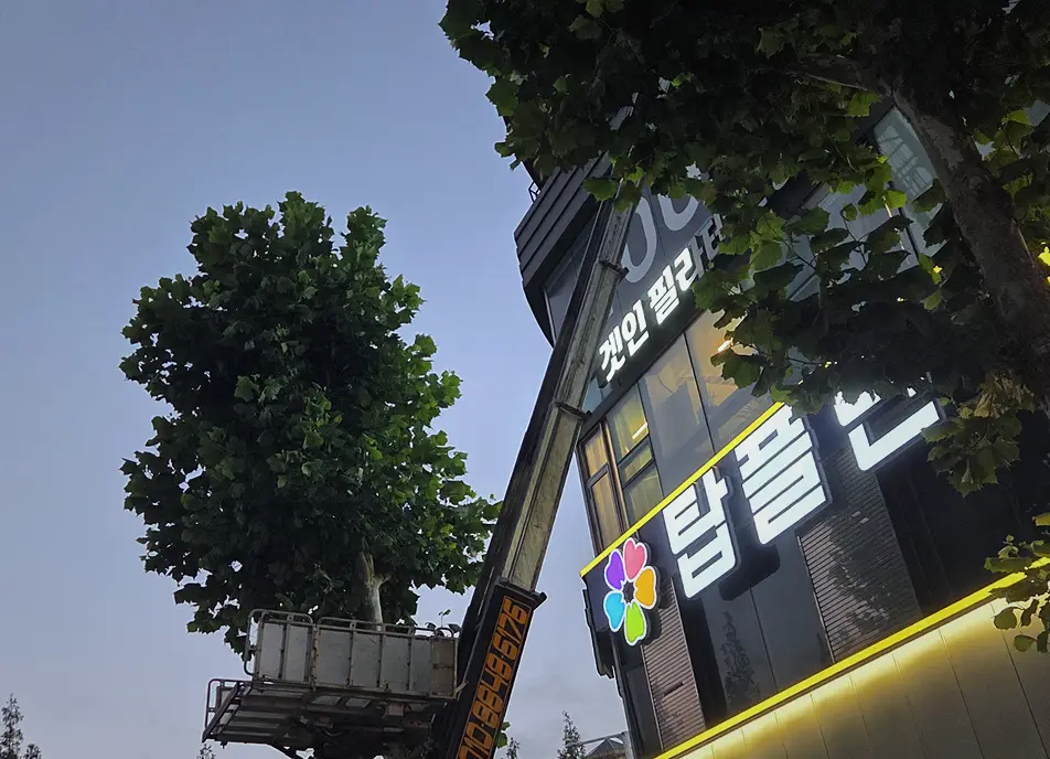 은평구 다세대주택 특수청소 유품정리·고독사 현장